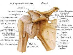 chirurgien de l'épaule à Saint-Saulve