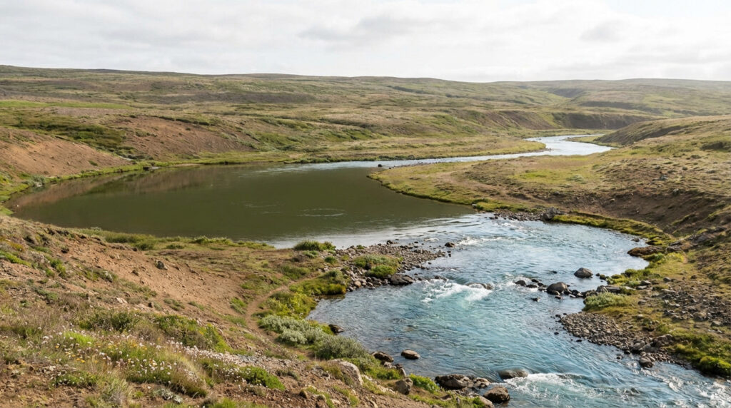 Serene river in a natural landscape. A dark, still pool transitions into a clear, flowing stream, representing digestive stasis to healthy transit.